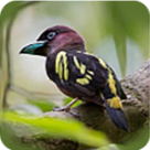 WWW,se329·COM网站APP WWW,se329·COM网站APP