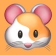 WWW,rrr68·COM网站APPAPP应用